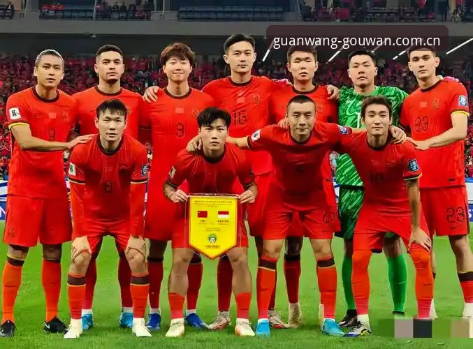 dog万中国入口iOS版 2030年世界杯扩军66队深度分析:中国男足重返舞台的全新机遇与挑战